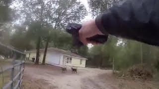 Bodycam shows deputies chase dogs that mauled, killed boy