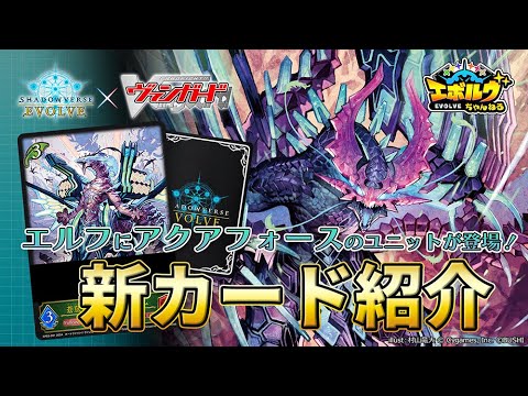 【ヴァンガードコラボ】攻撃回数が決め手！エルフクラスに『蒼嵐竜 メイルストローム』などアクアフォースのユニットが登場！【エボルヴちゃんねる】