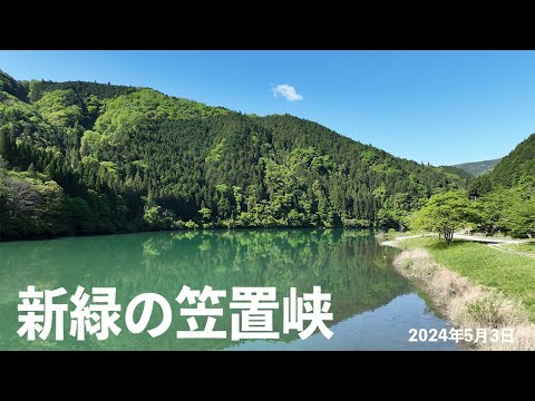 新緑の笠置峡 2024年5月3日