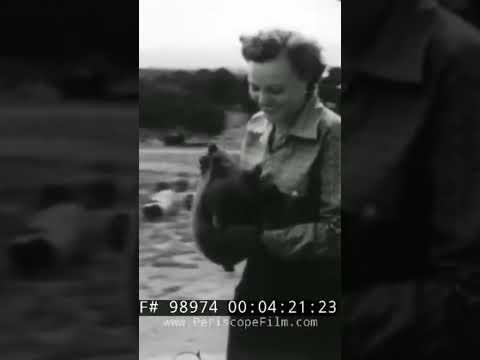 A cub receives medical treatment after a wild fire 🐻 🔥