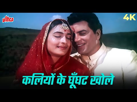 मुहम्मद रफ़ी का रोमांटिक गाना - कलियों ने घूँघट खोले 4K | Dharmendra, Nutan | Dil Ne Phir Yaad Kiya