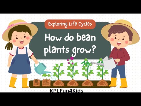 Gardening: Unlock the Secrets of Bean Plants: Fun Facts & Your Ultimate Bean Growing Guide!