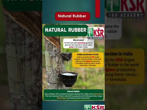 Natural Rubber  #currentaffair #iasacademy #iascoaching #iasinstitute #ksriasacademy