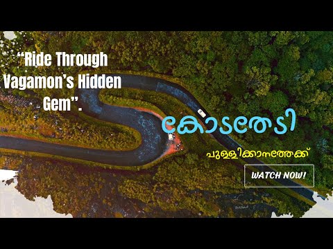 കോടതേടി പുള്ളിക്കാനത്തേക്ക് | പുള്ളിക്കാനം Pullikkanam ​⁠​⁠​⁠ #pullikkanam #travel #neelakurinji