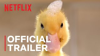 Tiny Creatures | Official Trailer | Netflix