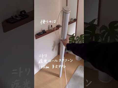 【大問題…】プロジェクター映す壁ない人へ #diy #インテリア #shorts