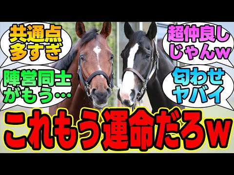 『ドウデュースとイクイノックスって仲良すぎない？』に対する競馬民の反応集