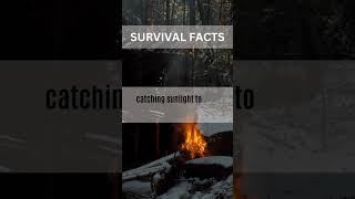 Unlock Survival Secrets: Mind-Blowing Survival Facts Revealed! 🌿🔥 | Short & Essential #survivalfacts