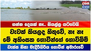 වැස්ස නිසා අමාරුවේ වැටුණු මැදිරිගිරිය ගොවීන්