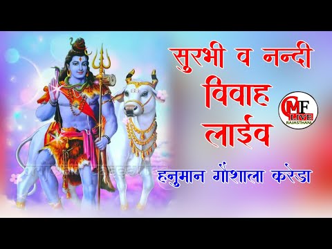 LIVE🔴करेड़ा 🔴लाइव करेड़ा सुरभि व नंदी विवाह उत्सव हनुमान गौशाला करेड़ा