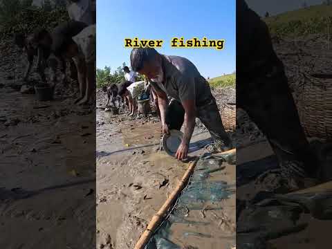 Traditional fishing village life #shortvideo #ytshorts #shorts #fishing #fish