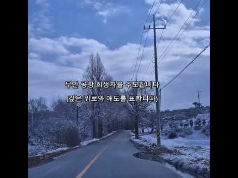 [나약한 기도] 나라가 시끄러우니 제주항공 참사의 아픔이 벌써 잊혀져 갑니다