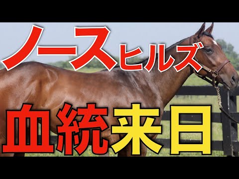 牧場縁の血統が今年もやってきた！ノースヒルズの海外産馬が輸入される。