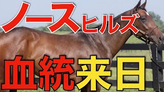 牧場縁の血統が今年もやってきた！ノースヒルズの海外産馬が輸入される。