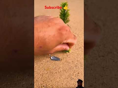 Tree 🎄 plantation 🌳#shortvideo #shorts #short #trending #viralvideo #viralshorts #trees #tree