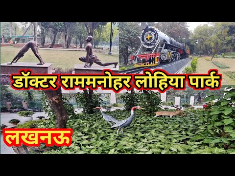 Dr. Ram Manohar Lohia Park Lucknow /डॉ राम मनोहर लोहिया पार्क #lucknow #trending