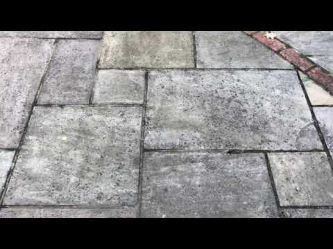 Patio black spot removal service on Indian sand stone in Bracknell England