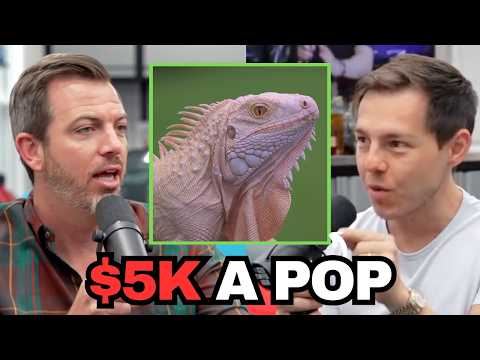 How to Make Money BREEDING IGUANAS... | Ed Bolian