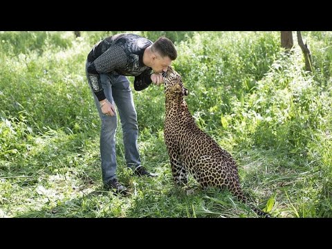 The Mother Leopard Gave Her Cubs to This Man, Then He Did Something Unbelievable