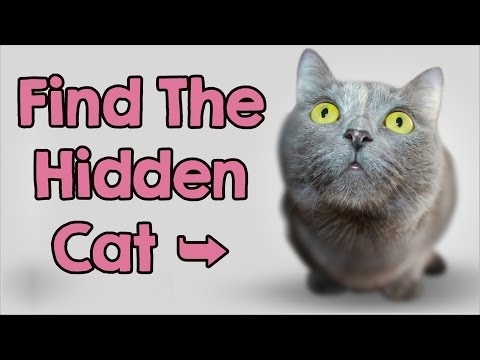 Can You Find The Hidden Cat? 90% Will Fail!