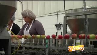 Made in Illinois: Affy Tapple