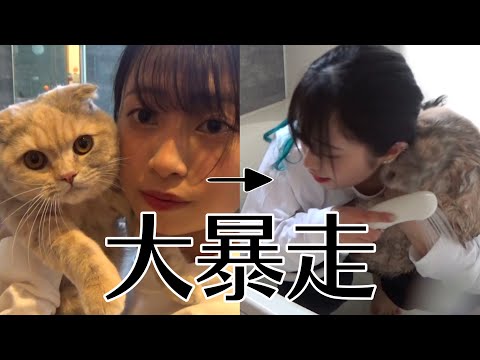 愛猫２匹をお風呂に入れたら大暴れして大変でした…