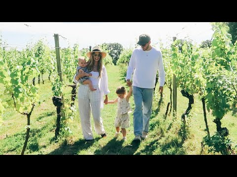 Vineyard Lunch, Hatching Butterflies & Evening Stroll | Vlogust Day 5