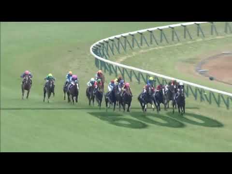 競馬再生数ランキングトップ10【チャンネル内】