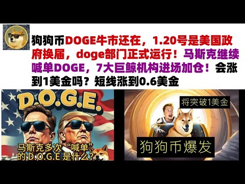 狗狗币DOGE牛市还在，1.20号是美国政府换届，doge部门正式运行！马斯克继续喊单DOGE，7大巨鲸机构进场加仓！会涨到1美金吗？短线涨到0.6美金#DOGE币#马斯克狗狗币#DOGE行情分析