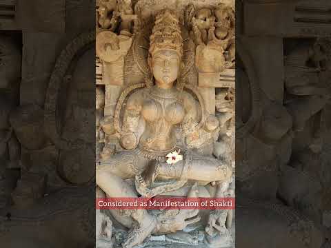 Chausath Yogini Temple, Jabalpur, Madhya Pradesh #shorts #madhyapradesh #youtubeshorts #jabalpur