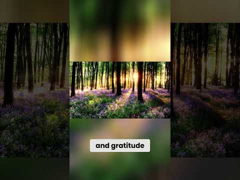 Gratitude Meditation: Nurturing Earth and Inner Peace #gratitude #earth #spirituality