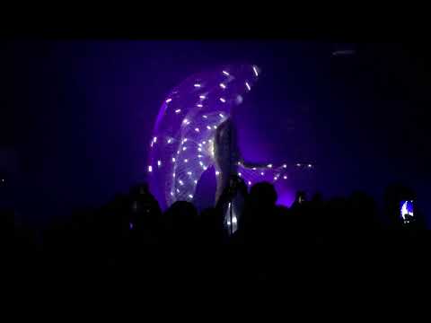 ionnalee performing in Amsterdam 07/04/2019