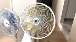 よりの扇風機11台　fan collection 2021