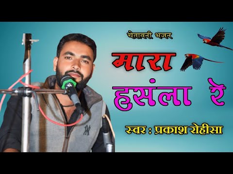 मारा हंसला रे  // Mara hansal re // Singar parkash rohisa // Desi bhajan 2025