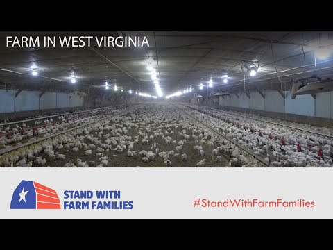 Stand with Farm Families - Greg's story