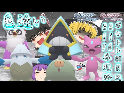 【ポケモンBDSP】デリバードとウリムーが大量発生したから色違い欲しい…じゃあついでに216・217番道路の色違いポケトレで全部ゲットしちゃお♡【ゆっくり実況】