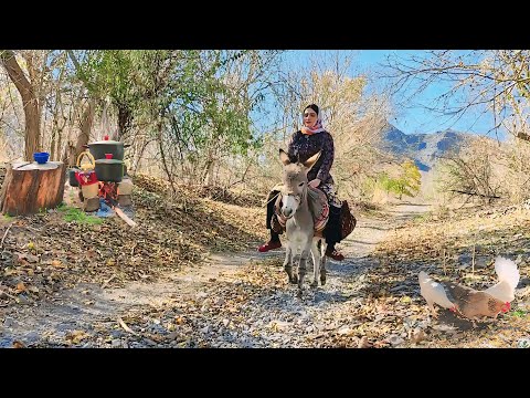 Village Lifestyle Iran: Amazing Cooking & Donkey Riding By A Girl