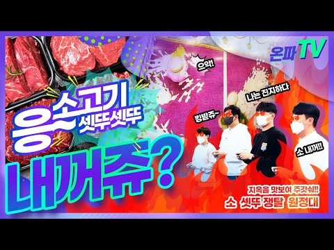 [ V-LOG ] 4월 온파데이 | 응~ 소고기 내꺼쥬 절대 안뺏기쥬