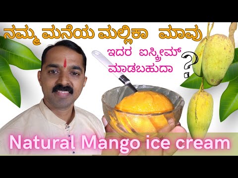 #mango | ಮಲ್ಲಿಕಾ ಮಾವು | mallika mango | Mango directly as ice cream | 100%natural ice cream