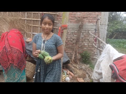 आज मैने पपीता के सब्जी बनाया || kajal new || vlogs video || village lifestyle