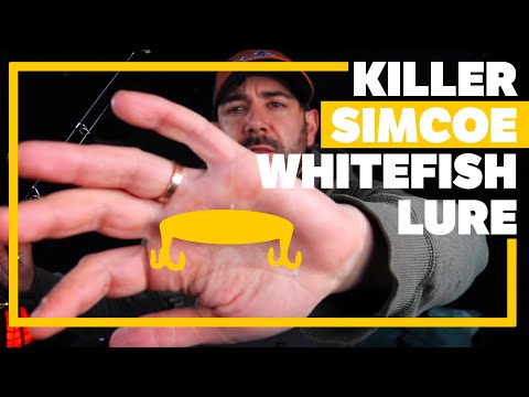 A Highly Productive Technique For Lake Simcoe Whitefish