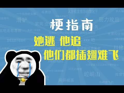 她逃他追他们插翅难飞是什么梗【梗指南】