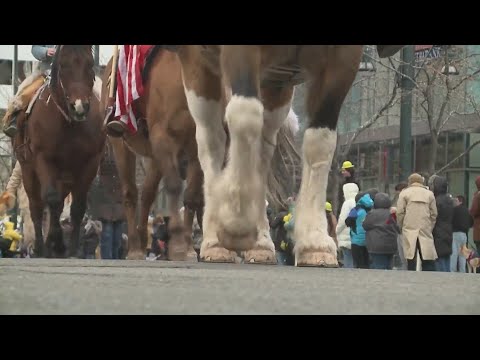 Community attends a freezing Western Stock Show Parade