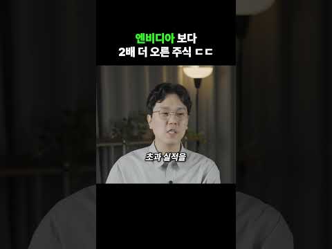 엔비디아 보다 2배 더 오른 주식 ㄷㄷ