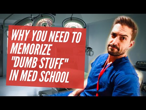 Why You Should Memorize “Dumb Stuff” in School