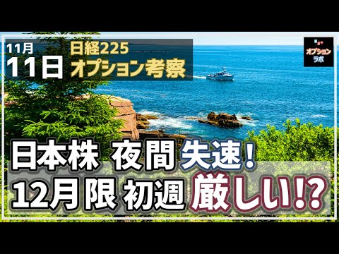 【日経225オプション考察】11/11 日本株SQ明けのナイトで失速！ 12月限初週の動きを考察するぞ！