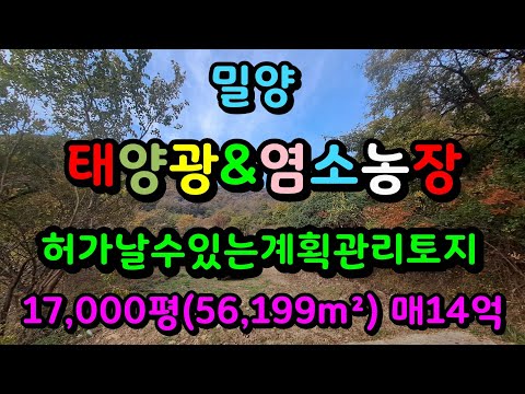 밀양 태양광부지&염소농장 허가날수있는 계획관리 땅매매 17,000평(56,199m²)매14억