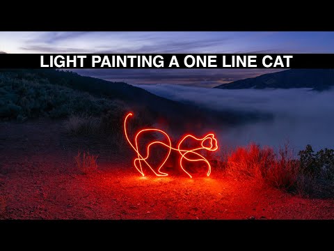 Light Painting a One Line Cat