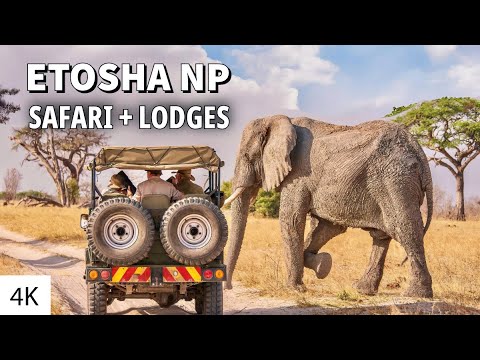 My First AFRICAN SAFARI 4K / Etosha National Park