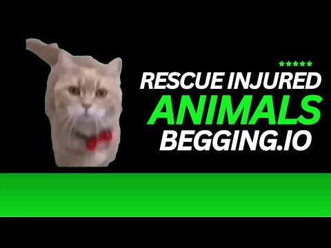 Rescue Injured Animals - Begging.io